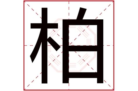 柏五行|柏字五行属什么